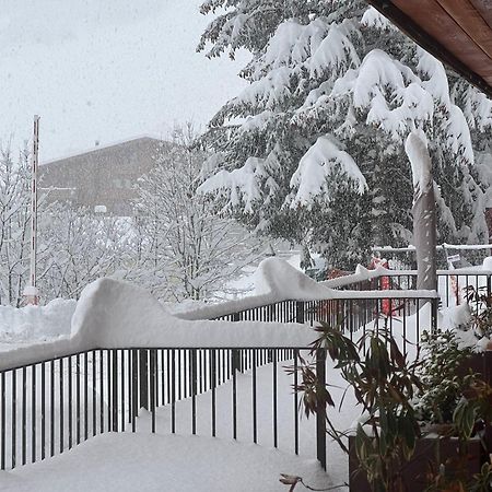Chalet Bizet - Limone 1400 Limone Piemonte Εξωτερικό φωτογραφία